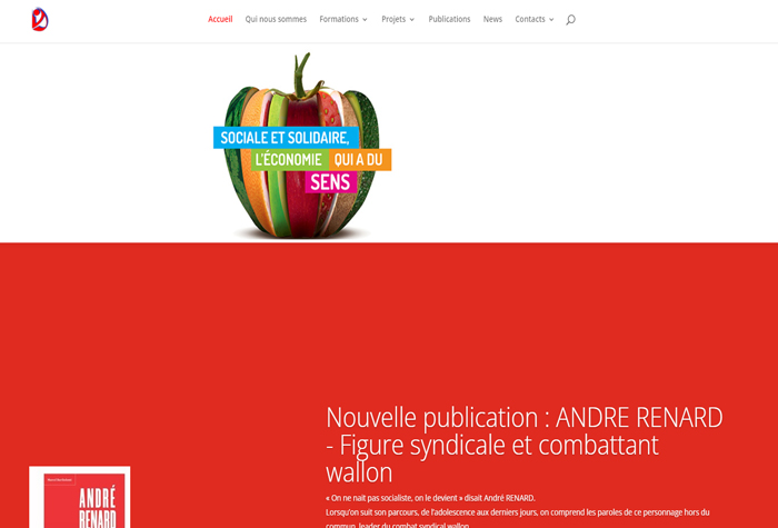 Aperçu du site de l’ASBL IDEES